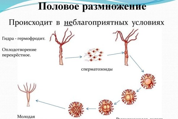 Кракен ссылка новая