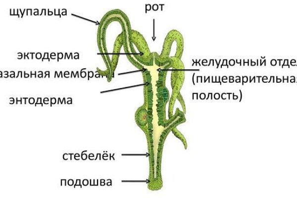 Кракен новая гидра