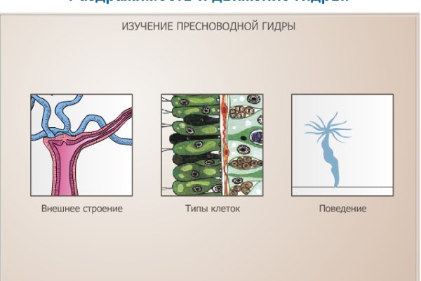 Kraken официальные зеркала