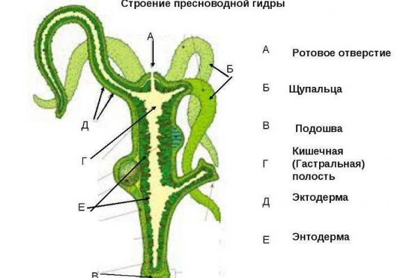 Кракен 12at сайт