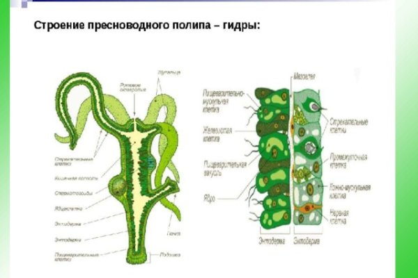 Kraken ссылка onion 2kmp