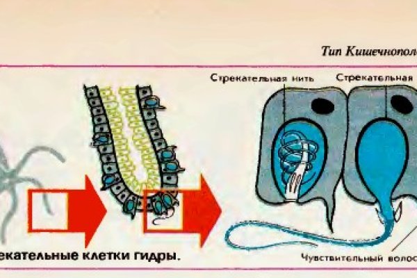 Кракен площадка kr2web in