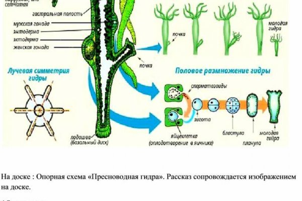 Кракен даркент